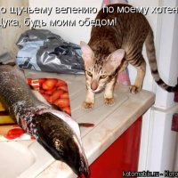 Будь моим обедом!