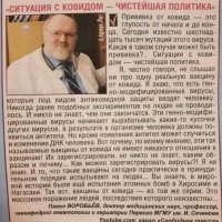 чистая политика