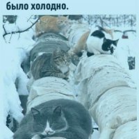 КОТельная