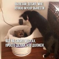 Bылезай, дебил!