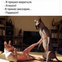 Я пришёл мириться...