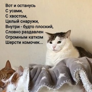 7. Маякотский