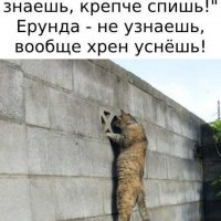 Не узнаешь хрен уснёшь!