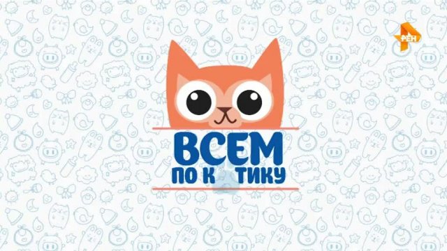 Всем по котику Выпуск 28