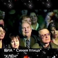 Виа Синяя птица. Клён