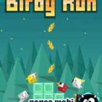 birdyrun 128x160 s40-