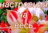 Доброе весеннее утро !