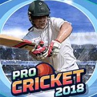 Pro Cricket 2018 Samsung D600 E900 240x320