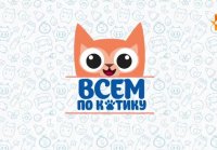 Всем по котику Выпуск 29