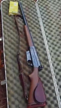 The Woodsmaster 81 (35 Remington)