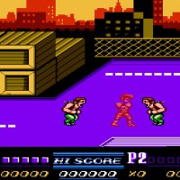 Double Dragon 2 Perfect Shadow Edition