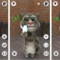 Talking Tom Cat