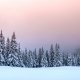 Zima-sneg-derevia-peizazh-elki-forest-landscape-winter-snow
