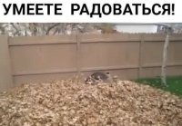 Умейте радоваться VID-20241020-WA0020