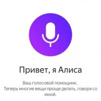 Алиса 24.2.0.universal.rustore (com.yandex.aliceapp)