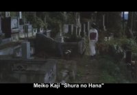 SHURA NO HANA - MEIKO KAJI (Subtitulada Español) (The Flower