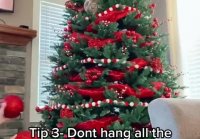 How to Decorate your Christmas Tree