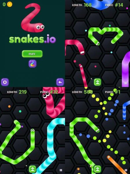 Snakes io-2 320x240 e61