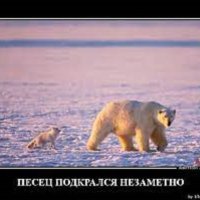 Без названия