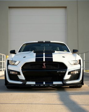 Mustang Shelby GT500