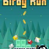 birdyrun 320x240 e71