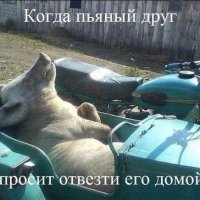 Когда пьяный друг просит отвезти его домой )))))))