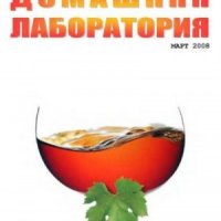 Интернет-журнал Домашняя лаборатория, 2008 3 (2008)