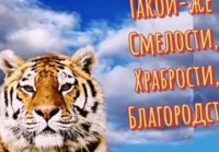 29 июля день тигра)