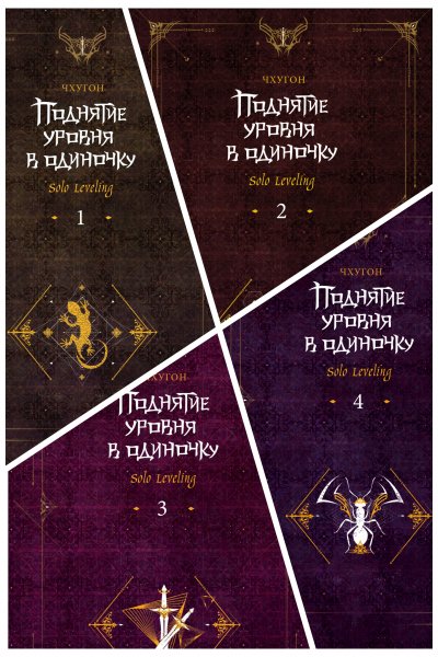 Чхугон. Поднятие уровня в одиночку. Solo Leveling (4 книги)