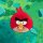 Angry Birds sms