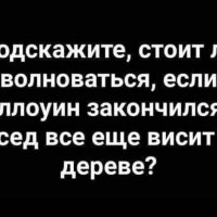 Не Трогайте! Это На Новый Год!