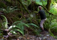 Canopy-Rainforest-Behind-the-Scenes-3 69