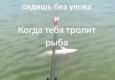 Когда рыба тебя презирает))
