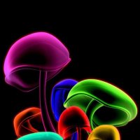 3dmushrooms 23e500f713183191