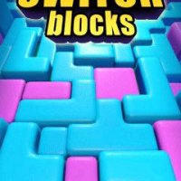 Switch Blocks