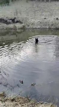 С таким помощником об улове можно забыть