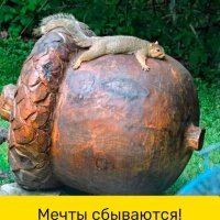 Мечты сбываются