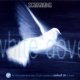 white-dove-scorpions