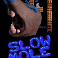 SlowMoleBeta NES