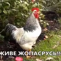 Добросранку