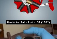 Protector Palm 1882