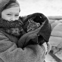 Рыжий кормилец( Не могла сдержать слез)