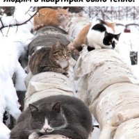 Котельня