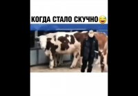 Когда стало скучно