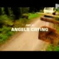 E-type-angel crying