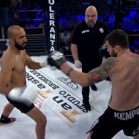 MOHAMMAD GHAEDI v IRIMIA ALEXANDRU