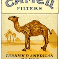 CAMEL