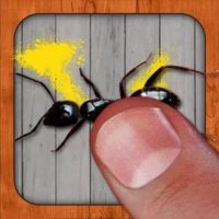 Ant smasher v 8.23