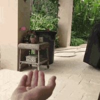 gifs 13