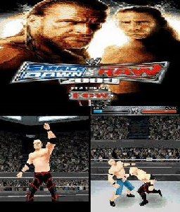 3D WWE 2009